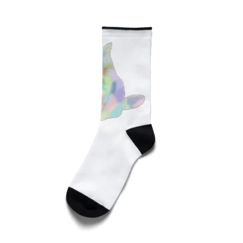 ユニコーンカラーの猫 Socks