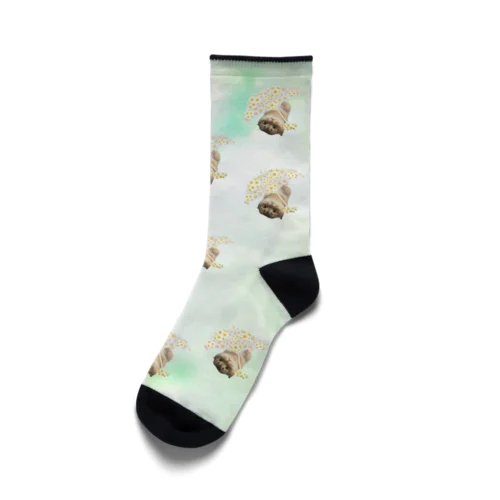 花傘ーるびちゃん Socks