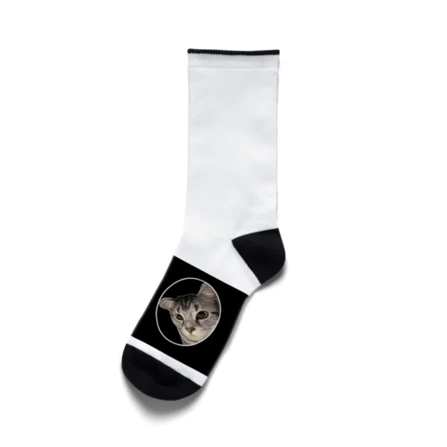 愛猫との絆、特別な愛猫グッズ Socks