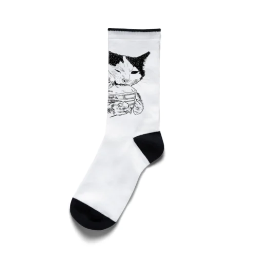 ソフトクリームを舐める猫達 Socks