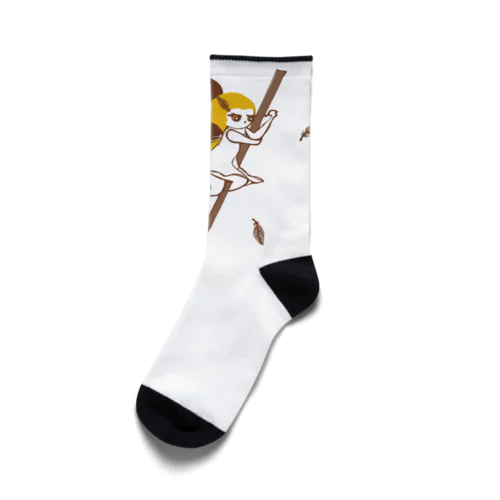 イーグルちゃん  Socks