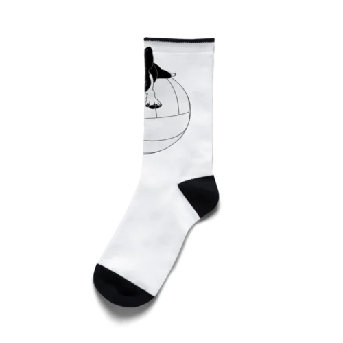 小物用:ボストンテリア(バレーボール白)[v2.7.5k] Socks