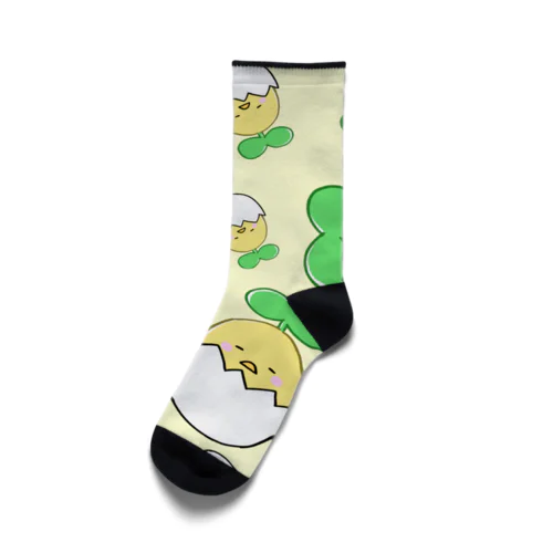 ぎっちり！ひよこまめ Socks