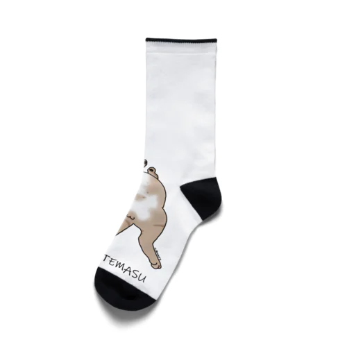 MIETEMASU Socks