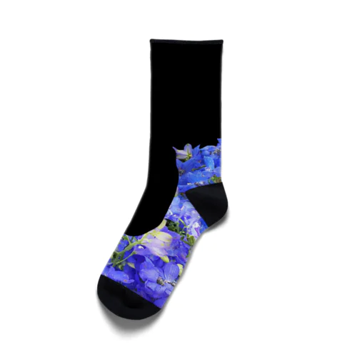 デルフィニウムの靴 Socks