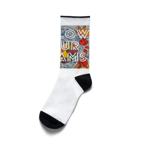 【恐竜】GASCA WINNER SERIES Socks