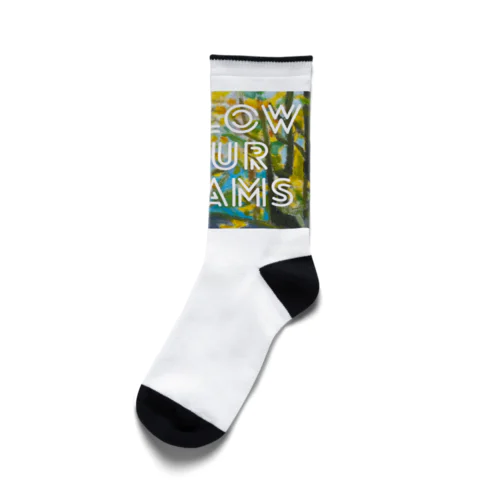 【秋】GASCA Winner Series Socks