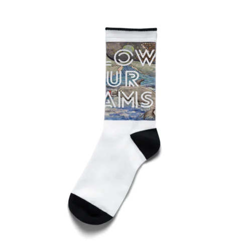 【海】GASCA Winner Series Socks