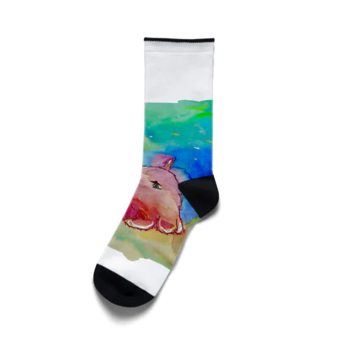 めんだぁこさん (小物) Socks