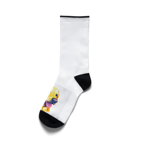 ゴールデンくん Socks