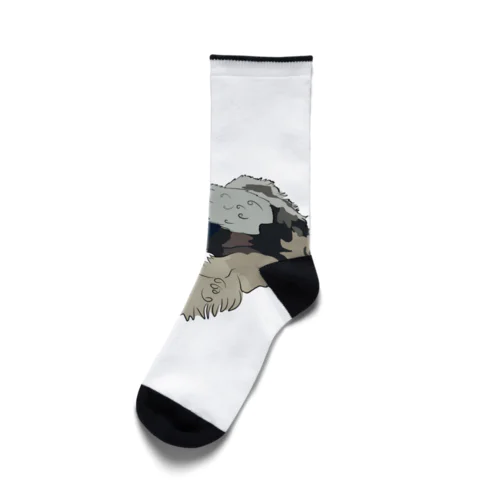 My Miniature Schnauzer Socks