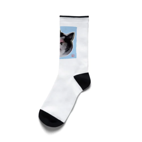 眠りこけた猫。2 Socks