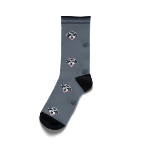 シュナウザー犬の靴下 Socks