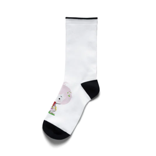 白文庫御姿会先達授与品その１ Socks