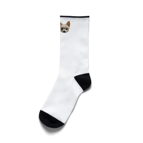 Qoo&Mochi Socks