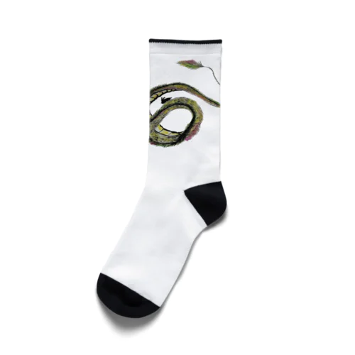 夢幻龍 Socks