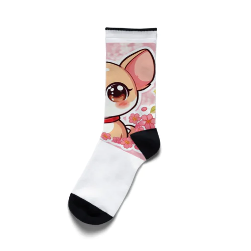 ファンタジーなチワワ Socks