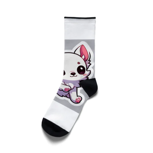 ホワイトチワワちゃん Socks