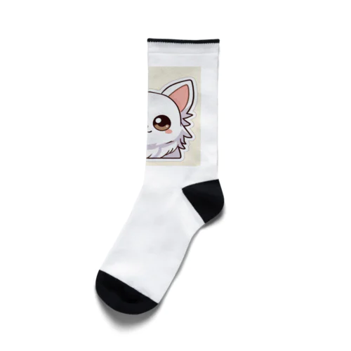 ホワイトチワワちゃん Socks