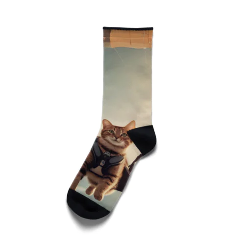 パラシュートする猫 Socks