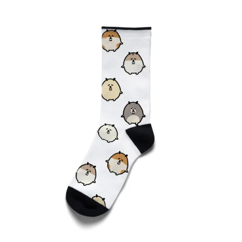 バリエーション公星くん Socks