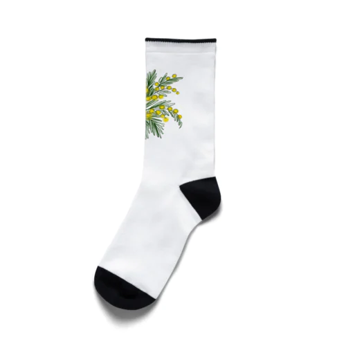 新鮮なカラフルなミモザの花束 Socks