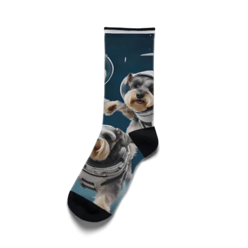 宇宙遊泳するミニチュアシュナウザー Socks