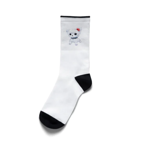 だってマルチーズだもん　素 Socks