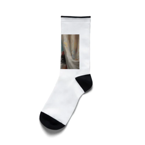 窓辺の覗き猫🐱 Socks