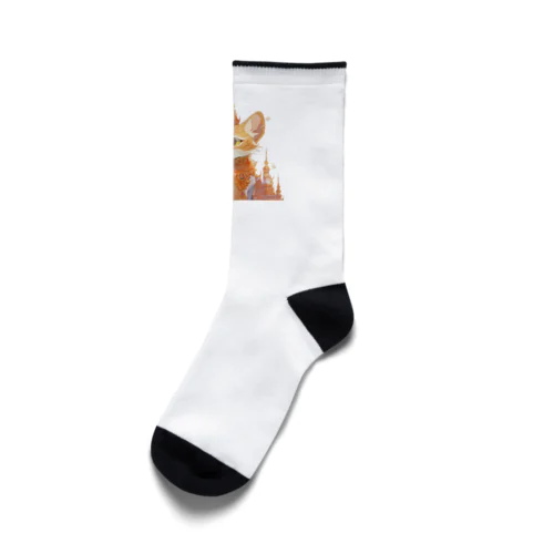 タイ猫 Socks