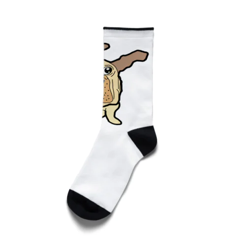 風なびく犬 Socks