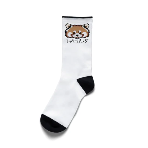 09レッサーパンダ（キャラ） Socks