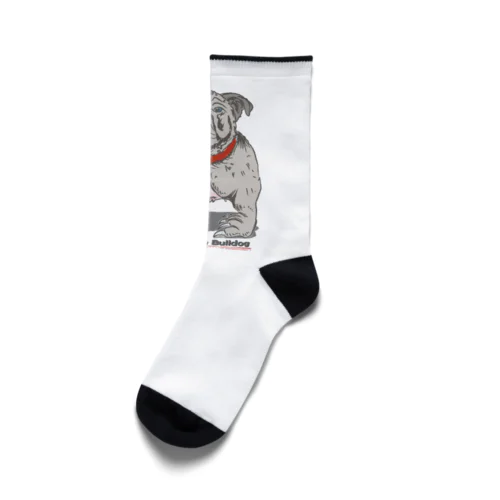 Gice Smiling Bulldog Socks