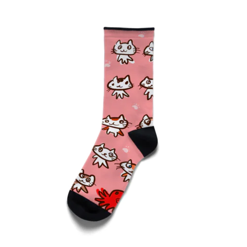 たこねこちゃん  Socks