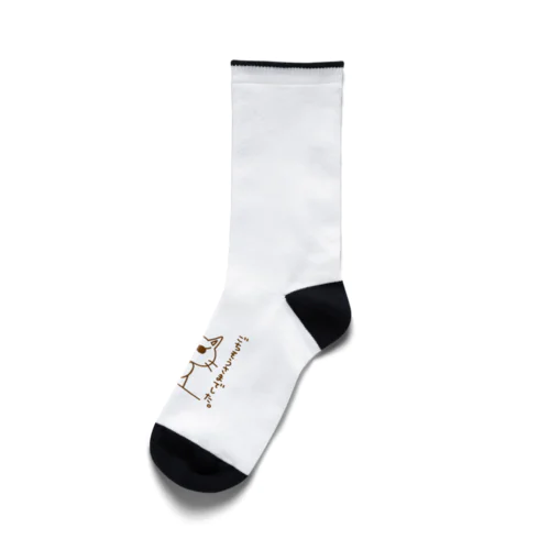 ピョウにゃん(食後) Socks