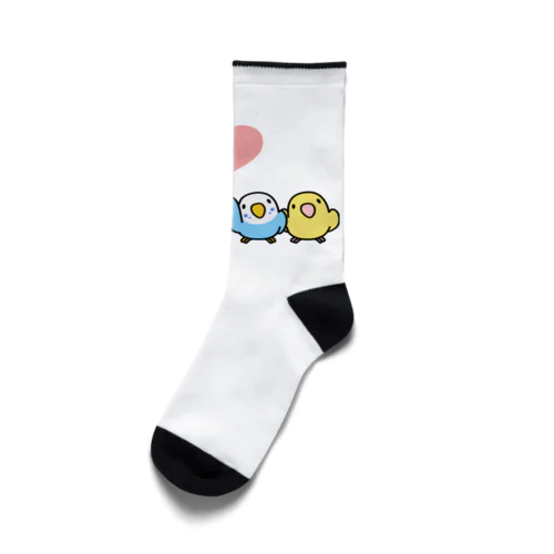 ハイタッチなかよしセキセイインコ【まめるりはことり】 Socks