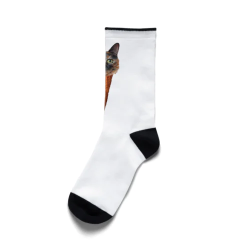 サビ猫ソフトクリーム Socks