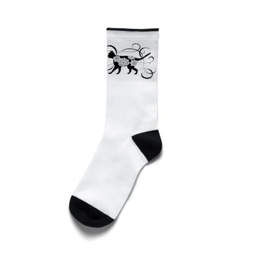 猫 Socks