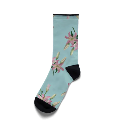 Thunberg Lily （スカシユリ） ライトブルー Socks