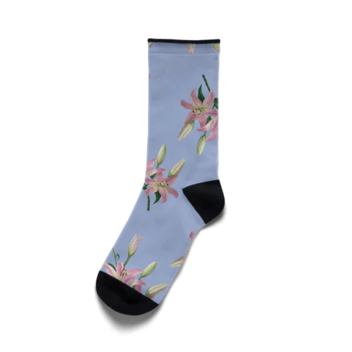 Thunberg Lily （スカシユリ） ブルーグレー Socks