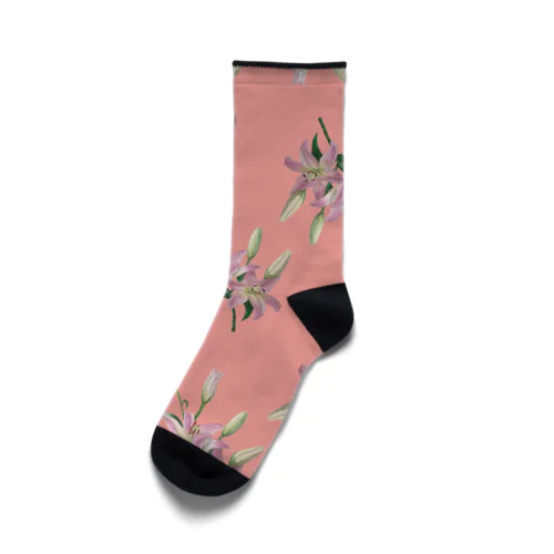 Thunberg Lily （スカシユリ） ピンク Socks