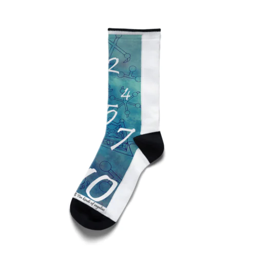 布留の十種 Socks