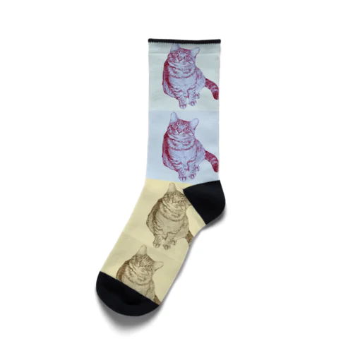 キジトラしか勝たん（16分割） Socks