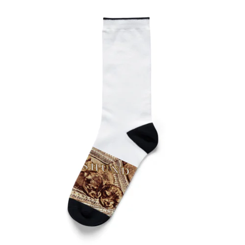 ベビーダックスフンド Socks