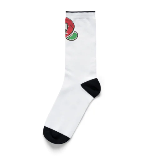 フジキュウサンキュウ Socks