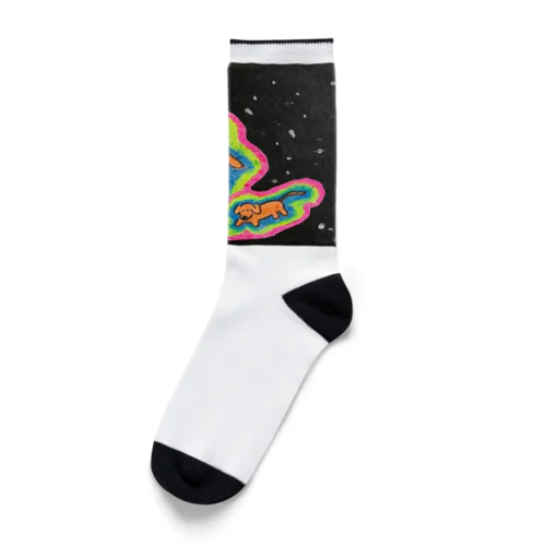 宇宙人間といぬ Socks