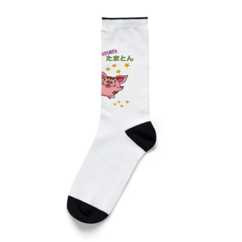 ★ひらめけ★たまとん Socks