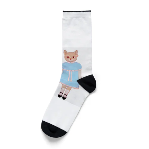 twins cat Socks