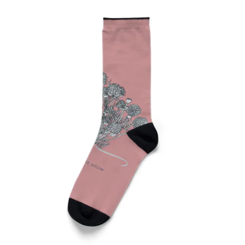 ドライフラワー　pink Socks