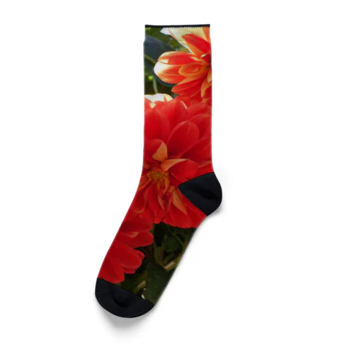 flower orange Socks